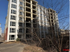 企业2600万元竞得法拍土地使用权和在建房产，被