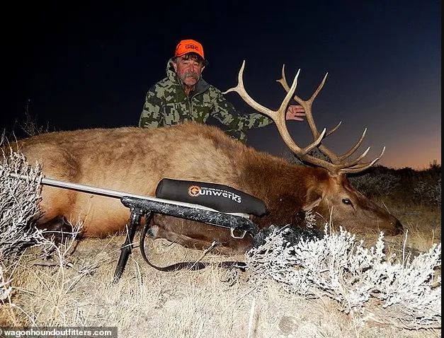 5头大象踩死美千万富豪 评论区却刷屏“报应”