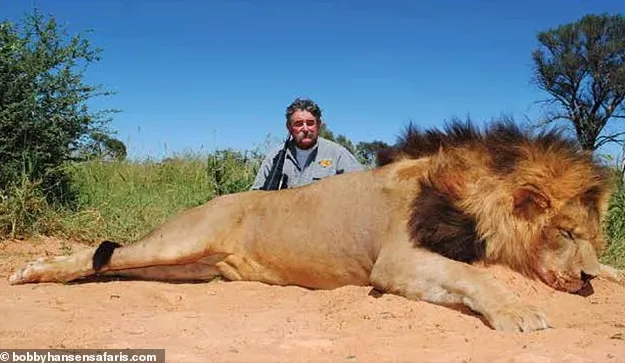 5头大象踩死美千万富豪 评论区却刷屏“报应”