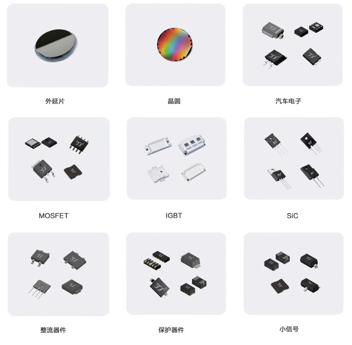 “扬州女首富”的半导体企业，被欧盟列入制裁名单