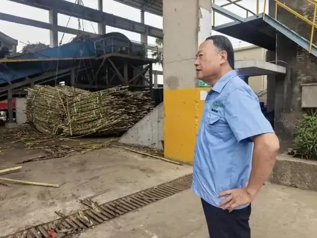 全红婵爸爸支持耀明糖厂，主动购买500吨糖