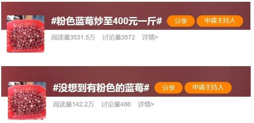 “粉色蓝莓”火出圈 一斤400元！引发网友热议