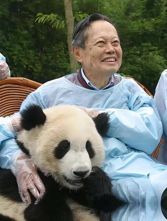 丈夫去世7个月，翁帆现状被曝光