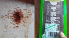 恐怖！中国肉干碎渣掉地上 蚂蚁吃完全死