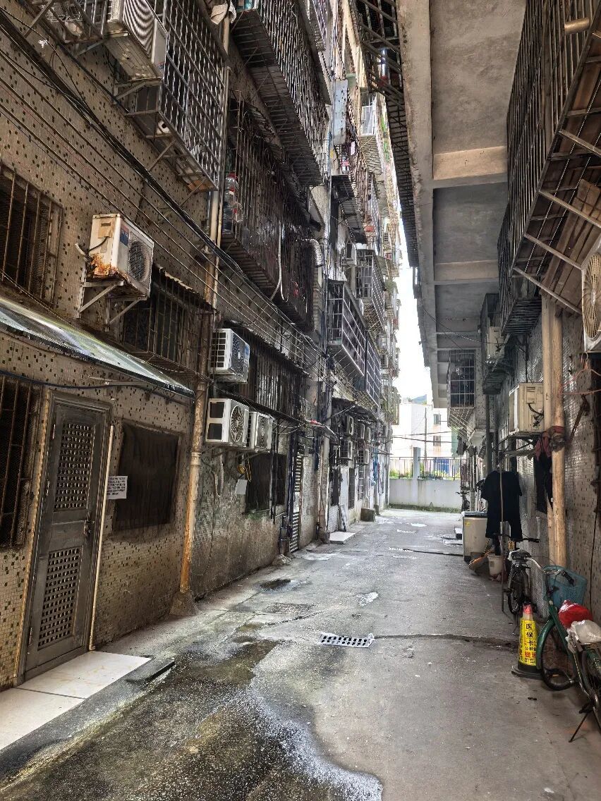 “梅姨”隐匿轨迹曝光:很少聊家事 戴口罩 摆摊卖芒果