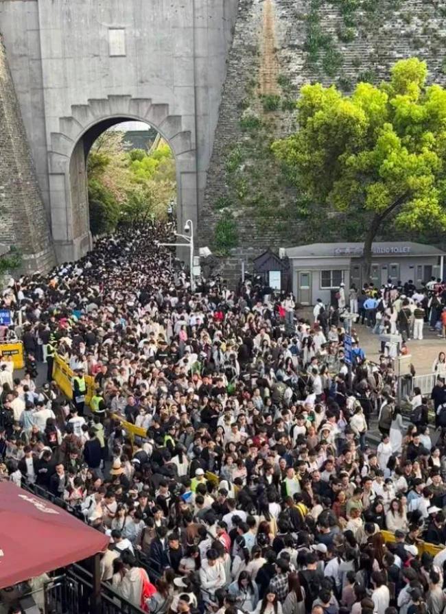 笑麻了！纯过日子人爆火